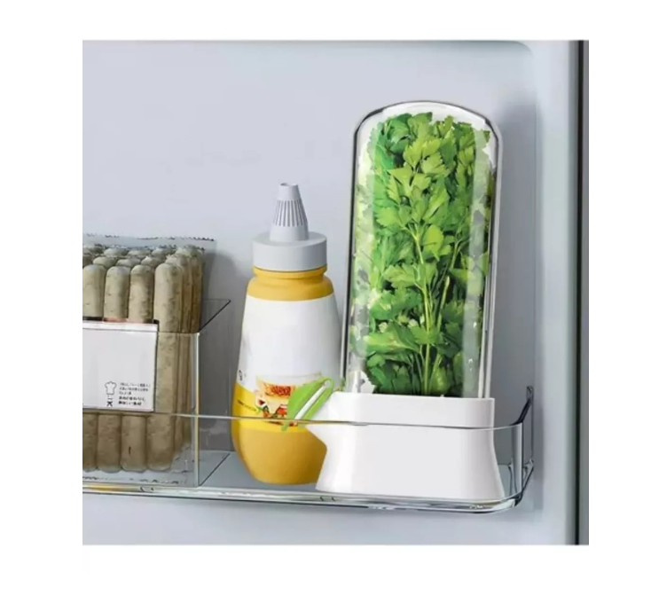 Conservador de Hiervas y especie Grande